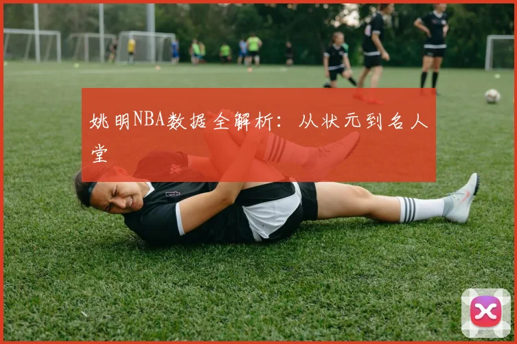 姚明NBA数据全解析:从状元到名人堂