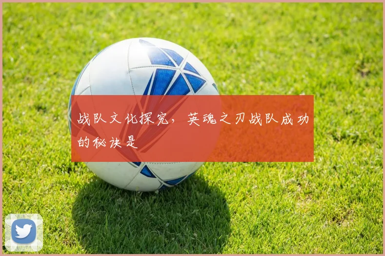 战队文化探究,英魂之刃战队成功的秘诀是