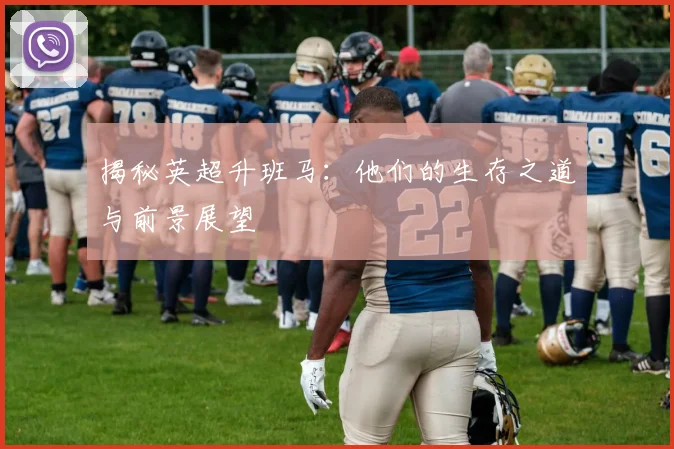 揭秘英超升班马：他们的生存之道与前景展望
