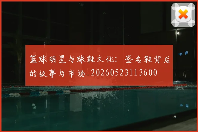 篮球明星与球鞋文化：签名鞋背后的故事与市场_20260523113600