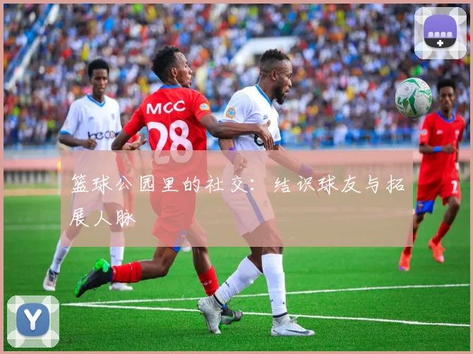 篮球公园里的社交:结识球友与拓展人脉