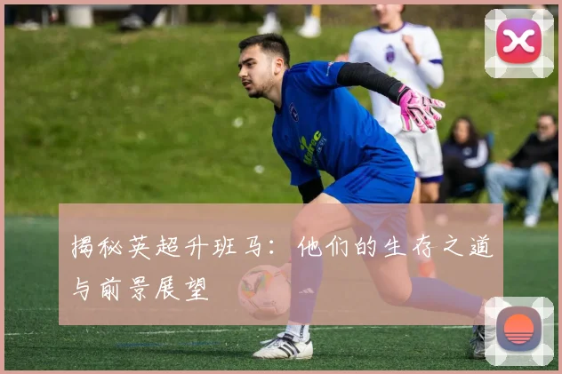 揭秘英超升班马：他们的生存之道与前景展望
